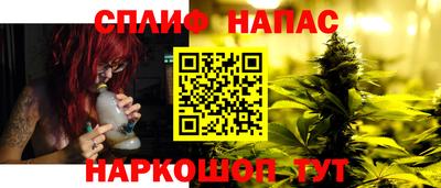 сатива Усть-Джегута