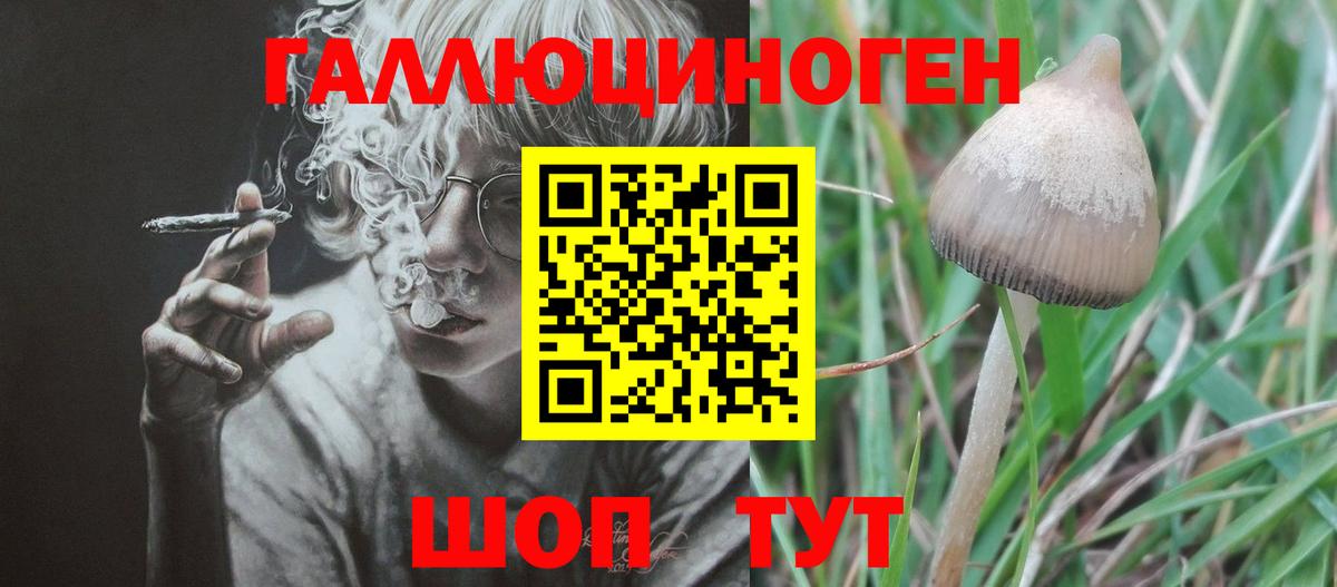 купить наркоту  Галлюциногенные грибы GOLDEN TEACHER  Вход с VPN  Нижний Новгород 